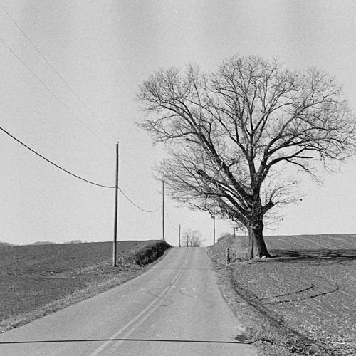 Appalachia Ambient w/ Matt Fox 290925