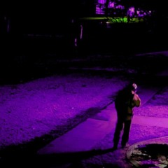 Who Was That-The Black Dizzies