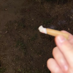 Turninnup
