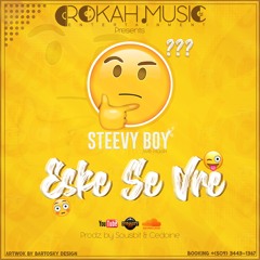 STEEVY BOY - Eske Se Vre