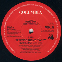 Terence Trent D'Arby - Surrender (MK Mix)