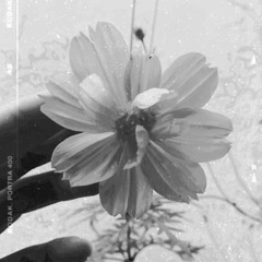 my tears ricochet - taylor swift (cover)