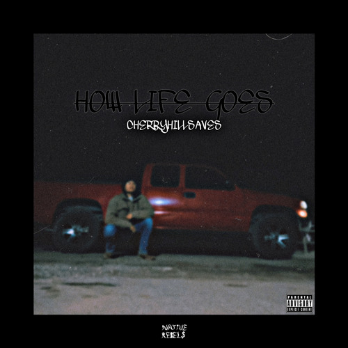 HOW LIFE GOES