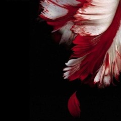 horridd & zayok - you've been on my mind (ikari   yungdni & fleafriends) #twilight