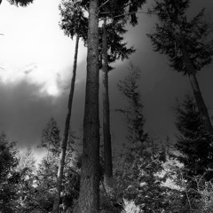 Mai 2022 - Grands Murcins - (Loire, France)- Autour d'un Cumulonimbus