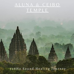 ✨ALUNA & CEIBO - TEMPLE (528Hz Sound Healing Journey)✨🧙🏼🧙🏼‍♀️🧝🏼