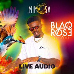 MIMOSA FREEDOM LIVE AUDIO