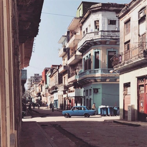 Samba Bin Ich Sowieso