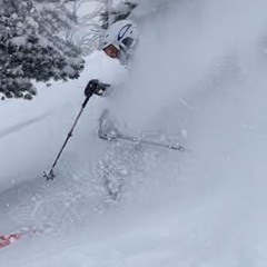 Powder Daze