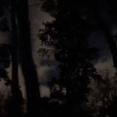 you hate yourself so you hurt others