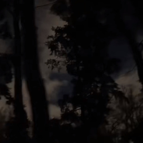 you hate yourself so you hurt others