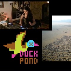 Dulce Vita @ Duck Pond - Girls On Deck (Live Duck Cam)