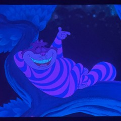 Friends & Family 2025 Chill Set- May 23 2025