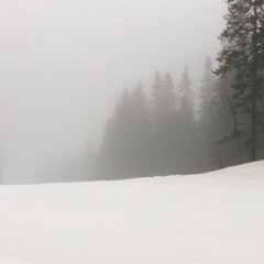 winter day with kitz / TuFeven