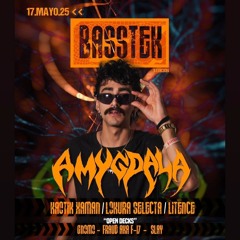 BASSTEK
