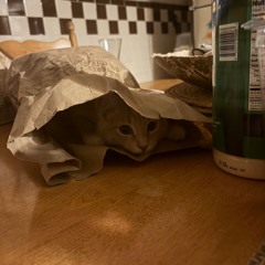 aint no better then this