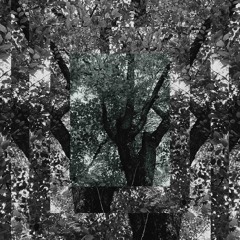 Mpe Inverter hypnotic Line