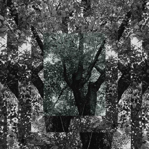 Mpe Inverter hypnotic Line