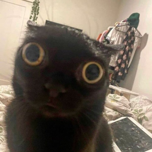 FNF Vs Cord Expansion Pack - CAT (End Mix)