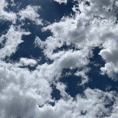 Home | Edward Sharpe and the Magnetic Zeros cover