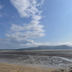 i was broken too early demo