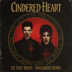 Tie That Binds - Unguarded Remix