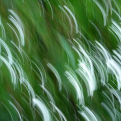 Tiefes Lauschen, Version mit Ensemble
