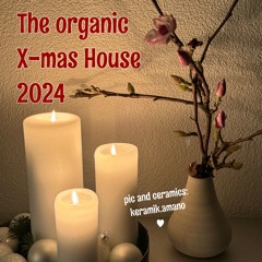 2024-12-25_THE ORGANIC X-MAS HOUSE