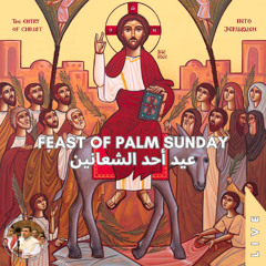 Phiet-Hemsi ♱ Palm Sunday (Live) في اتهيمسي ♱ أحد الشعانين