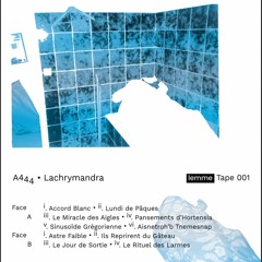 Lemme Tape 001: A444 - "Lachrymandra" (Snippet)