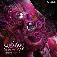 Shadow Shaman vs Slide - Far Outta Town | Making Contact album | Forestdelic Records