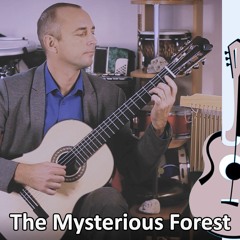 The Mysterious Forest