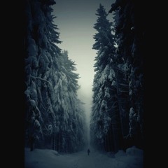 Rebirth (To The Sky)