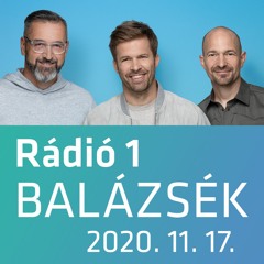 Hódok miatt ment el többször az áram Zala megyében