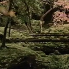 zan [why don’t you]