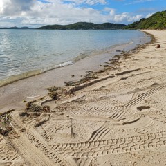 FALLACY 🌋🫧 [ ChillBounceREMIX ] 2025