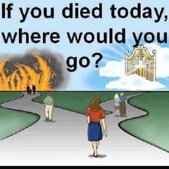 kiss me, i’m irish!