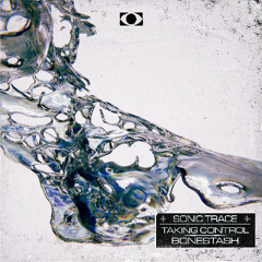 Sonic Trace 'Taking Control' [Identity Records]
