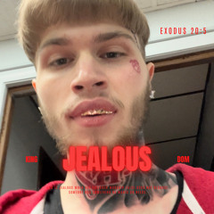 Jealous (PnB Selfish Christian Remix)