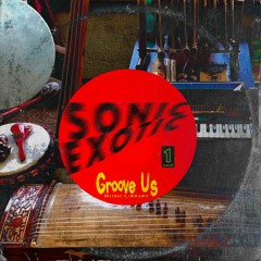 Sonic Exotic Sample Pack Demo