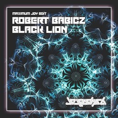 Robert Babicz - Black Lion (Maximum Joy Edit)