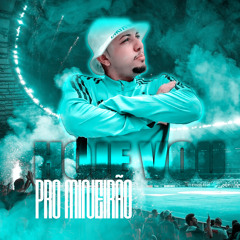 Hoje Vou pro Mineirão