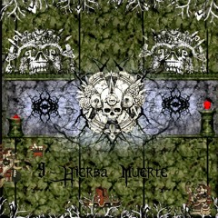 †† Terrorchtitlan Mēxihcah Dark Army†† - Psylocibirex - Ruido Bestial En Lomas Del Terror