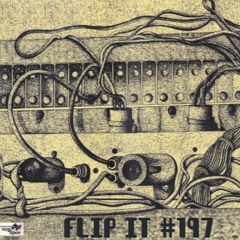 Echoing [Flip It 197] SOLD