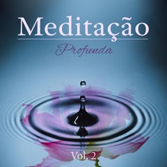 Meditação da Ioga vol. 2