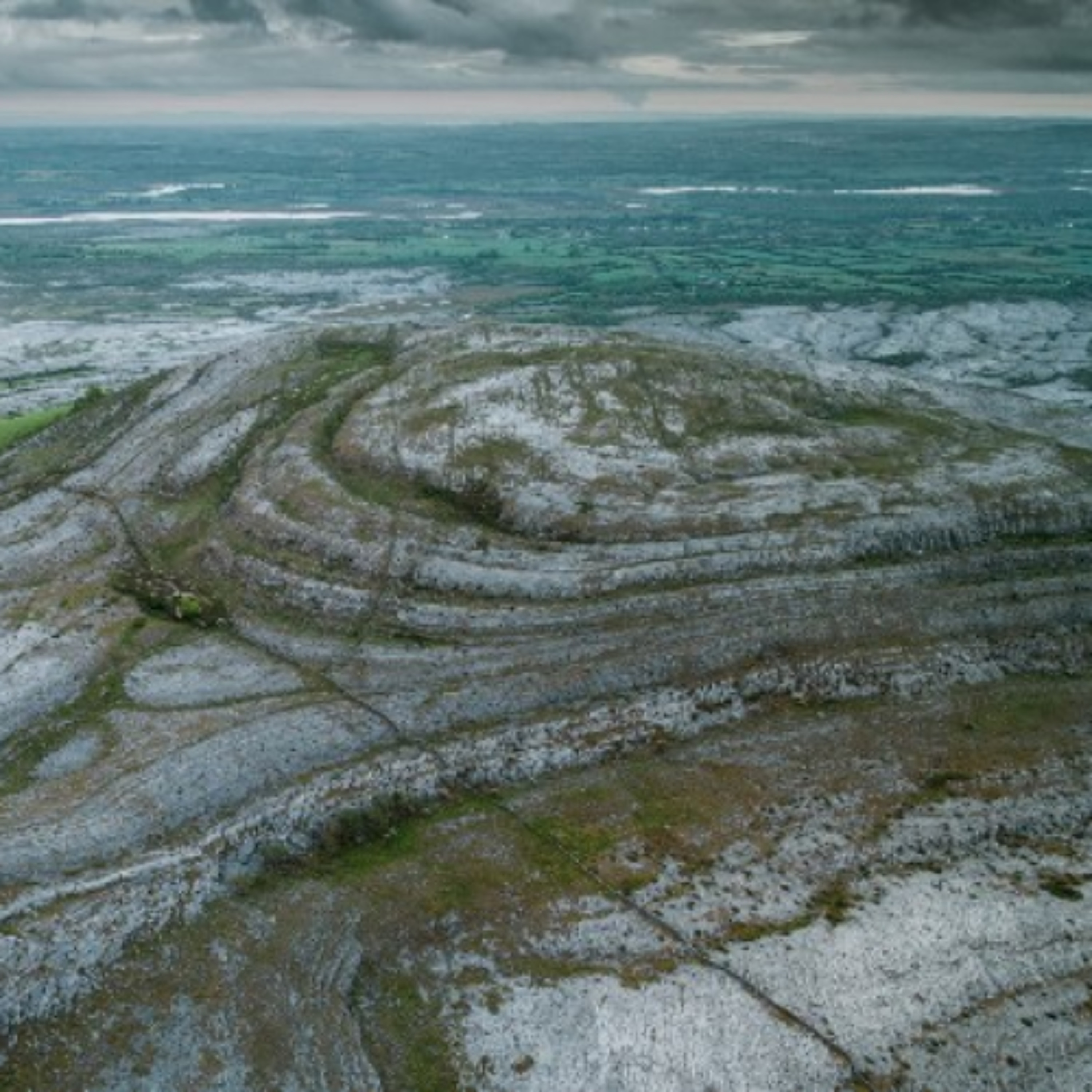 CIE Tours Funds Musical GPS-Collared Cattle Initiative In The Burren