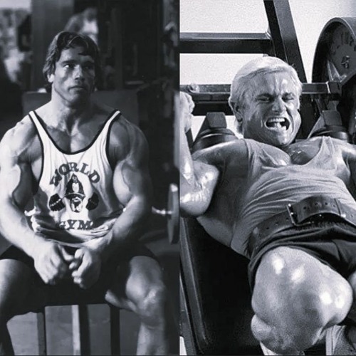 ꜱᴄᴀʀꜱ [ɴᴏᴠᴜʟᴇɴᴛ] / ᴀʀɴᴏʟᴅ/ᴛᴏᴍ ᴘʟᴀᴛᴢ