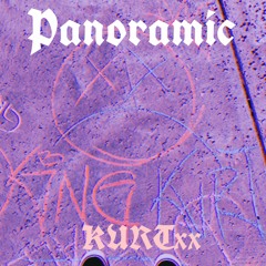 Panoramic (HOLD)
