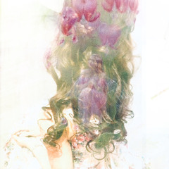 book of angela