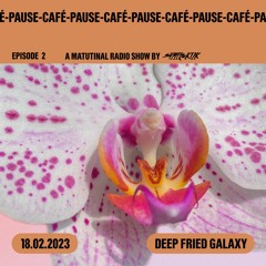 Deep Fried Galaxy [Pause-Café on GDS.FM Episode 2]